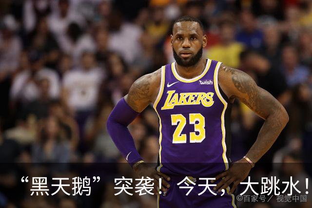 “黑天鹅”突袭！今天，大跳水！