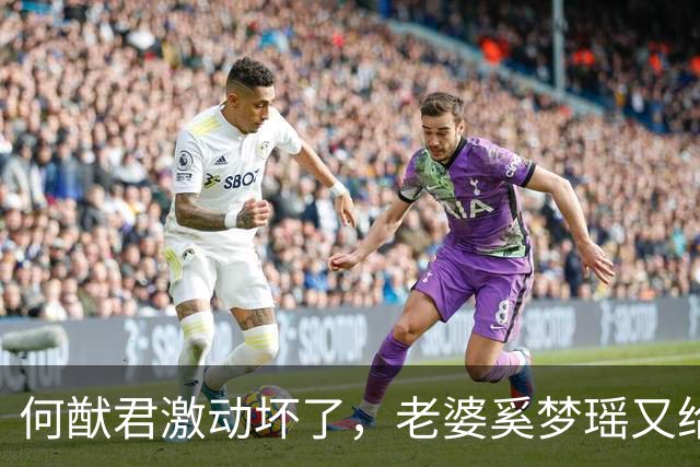 何猷君激动坏了，老婆奚梦瑶又给他争光了，原来他才是高攀的那个