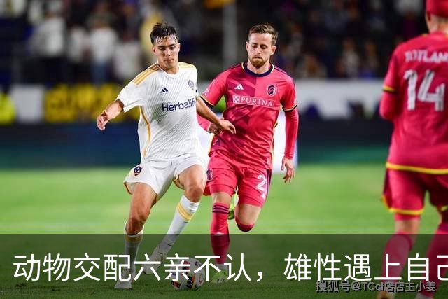 动物交配六亲不认，雄性遇上自己母亲怎么办？马不欺母是真的吗？