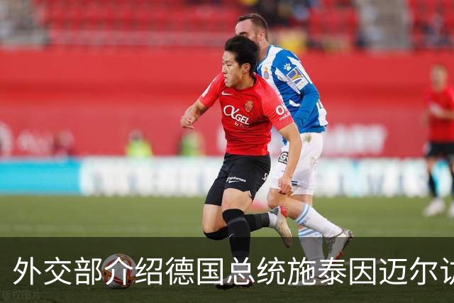 外交部介绍德国总统施泰因迈尔访华安排