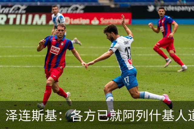 泽连斯基：各方已就阿列什基人道主义行动达成协议