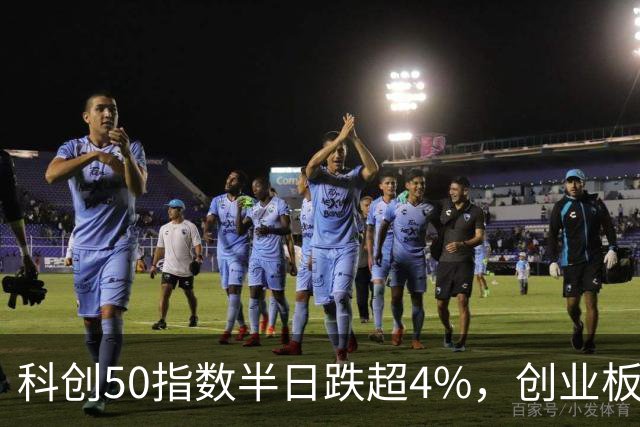 科创50指数半日跌超4%，创业板指跌超3%，四大行总市值突破10万亿