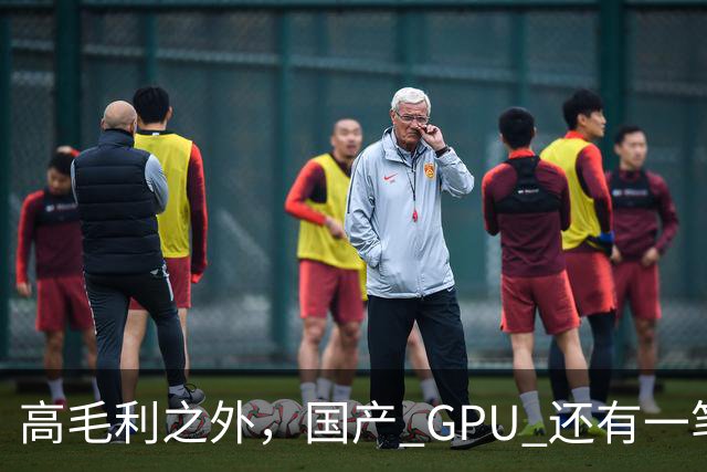 高毛利之外，国产 GPU 还有一笔 “软件账”