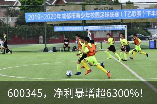 600345，净利暴增超6300%！